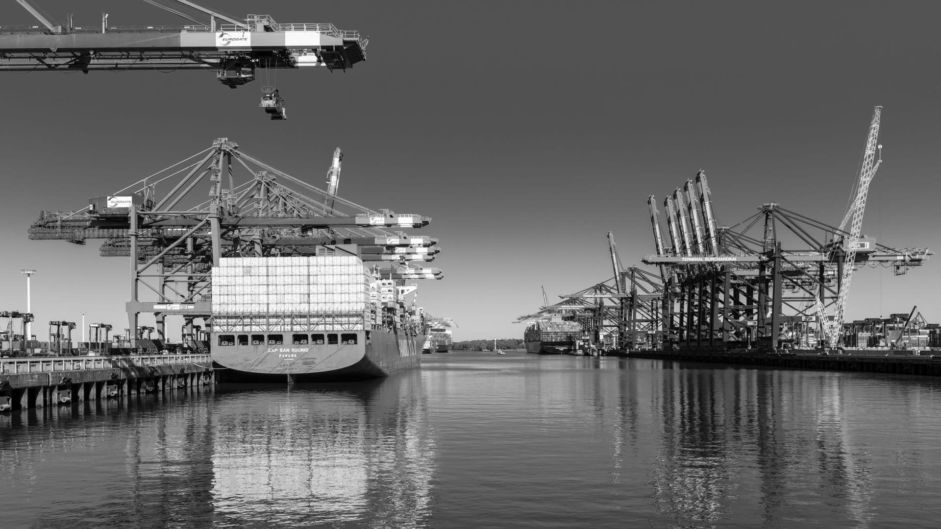 Port cranes over cargo ships