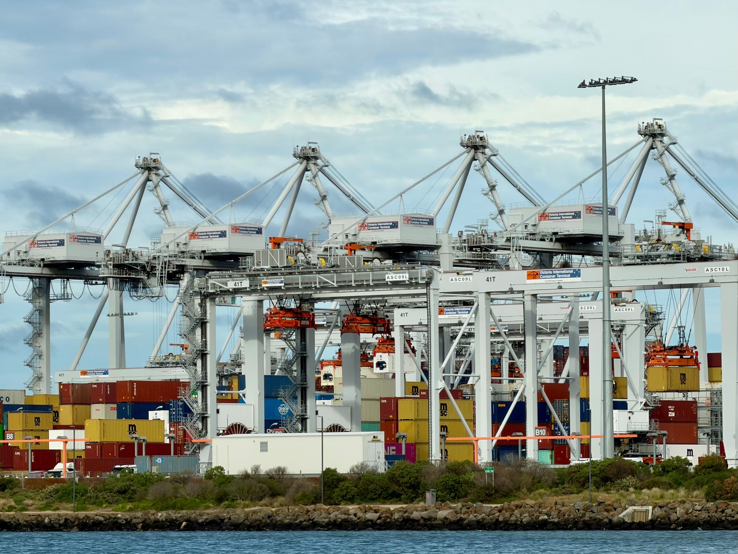 Container cranes working a terminal at the port