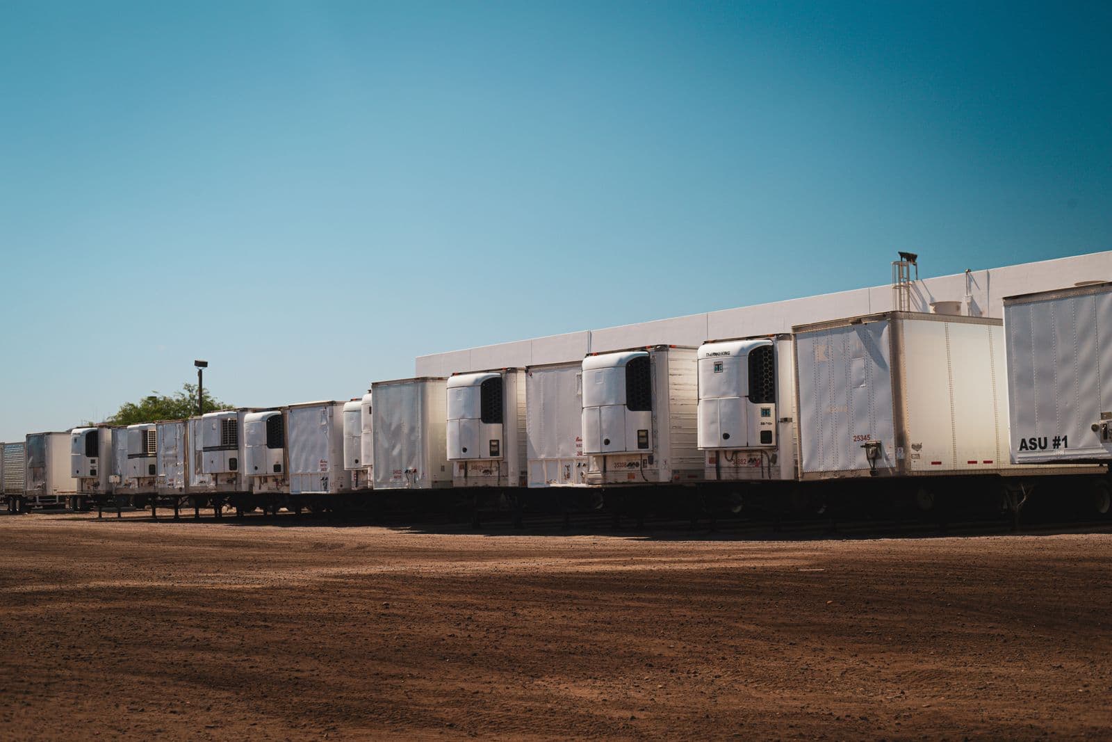 Refrigerated trailers in a lot